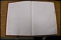 Bun Co, NC, Will Book B, pg 1 - 290 (9).JPG