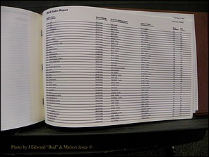 Burke Births, 1913-2001, M-Z 1052.JPG