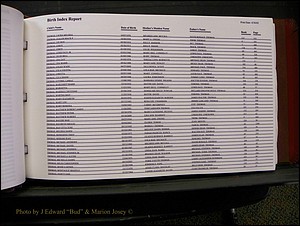 Burke Births, 1913-2001, M-Z 796.JPG