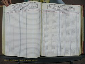 Cleveland Co, NC, Births, A-Z, 1946-1950 (113).JPG