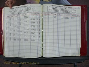 Cleveland Co, NC Delayed Births Thru 1960 (179).JPG