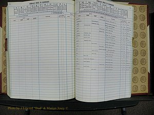 Cleveland Marriage Female Index, Book 9 138.JPG