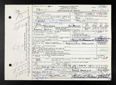 Beaumont, Anna M Haley, Allegheny Co, PA.jpg