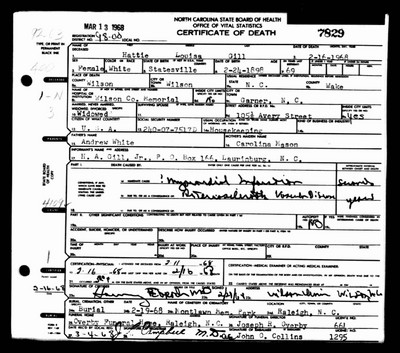 Gill, Hattie Louisa White, Wilson Co, NC.jpg