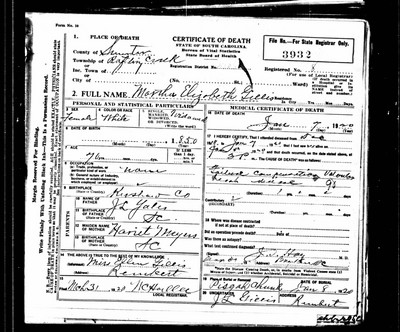 Gillis, Martha Elizabeth Yates, Sumter Co, SC.jpg