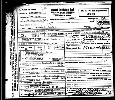 Goodwin, Andrew Braxton, Lexington Co, SC.jpg