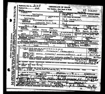 Goodwin, Joseph Perry, Lexington Co, SC.jpg