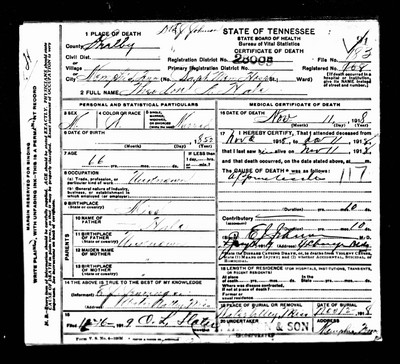 Hale, Theadore A, Shelby Co, TN.jpg