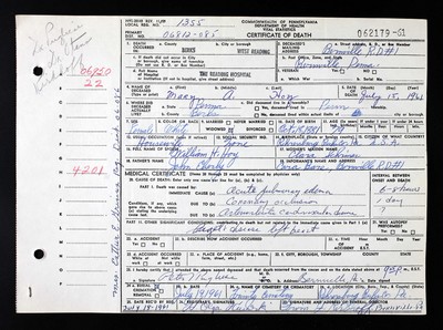 Hoy, Mary Ann Eberly, Burks Co, PA.jpg