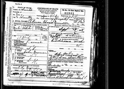 Newman, Thomas Edward, Sumter Co, SC.jpg