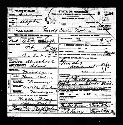 Norlin, Harold Edwin, Alpha, Iron Co, MI.jpg