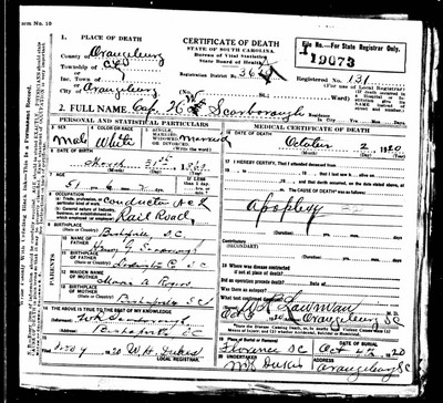 Scarborough, Capt Henry W, Orangeburg Co, SC.jpg