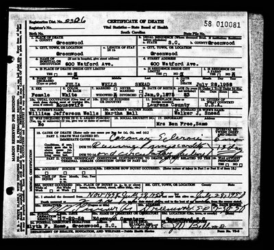 Snead, Julia Blanche Wells, Greenwood Co, SC.jpg