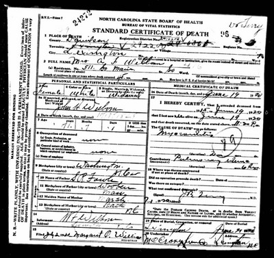 Welborn, Anna M Fowle, Davidson Co, NC.jpg