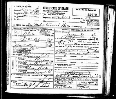 Williams, Rachel Goodwin, Lexington Co, SC.jpg