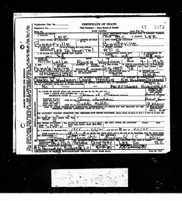 Woodham, Lalla Rookh, Lee Co, SC.jpg