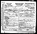 Williams, James Rufus, Lexington Co, SC.jpg