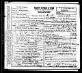 Woodcock, Allison Illers, Georgetown Co, SC.jpg