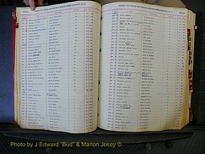 Edgecombe Births, A-Z, 1914-1933 (193).JPG