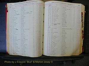 Edgecombe Births, A-Z, 1914-1933 (194).JPG