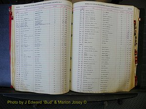 Edgecombe Births, A-Z, 1914-1933 (197).JPG