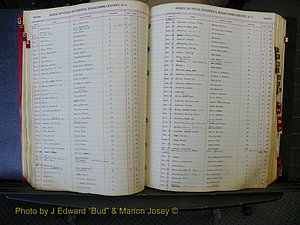 Edgecombe Births, A-Z, 1914-1933 (203).JPG
