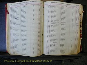 Edgecombe Births, A-Z, 1914-1933 (208).JPG