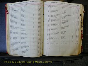 Edgecombe Births, A-Z, 1914-1933 (212).JPG