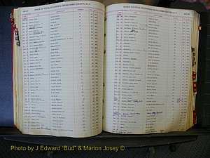 Edgecombe Births, A-Z, 1914-1933 (253).JPG