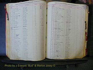 Edgecombe Births, A-Z, 1914-1933 (259).JPG