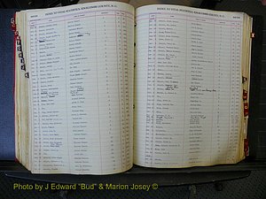Edgecombe Births, A-Z, 1914-1933 (290).JPG