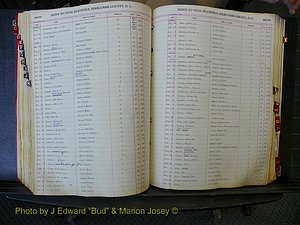 Edgecombe Births, A-Z, 1914-1933 (295).JPG