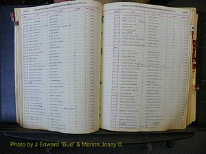 Edgecombe Births, A-Z, 1934-1949 (168).JPG