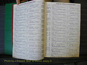 Edgecombe Marriages, A-E, 1867-1937 (116).JPG