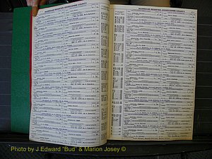 Edgecombe Marriages, A-E, 1867-1937 (119).JPG