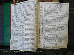 Edgecombe Marriages, A-E, 1867-1937 (122).JPG