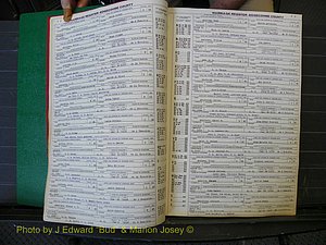 Edgecombe Marriages, A-E, 1867-1937 (124).JPG