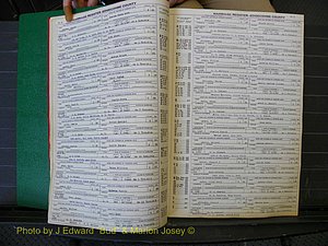 Edgecombe Marriages, A-E, 1867-1937 (134).JPG
