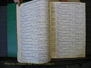 Edgecombe Marriages, A-E, 1867-1937 (146).JPG