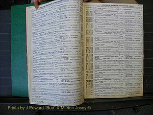 Edgecombe Marriages, A-E, 1867-1937 (156).JPG
