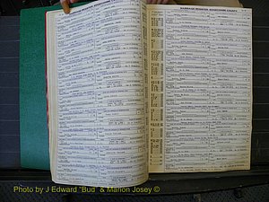 Edgecombe Marriages, A-E, 1867-1937 (162).JPG