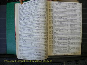 Edgecombe Marriages, A-E, 1867-1937 (163).JPG
