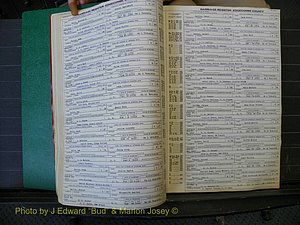 Edgecombe Marriages, A-E, 1867-1937 (167).JPG