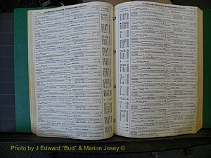 Edgecombe Marriages, A-E, 1867-1937 (170).JPG