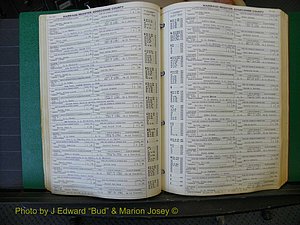 Edgecombe Marriages, A-E, 1867-1937 (174).JPG