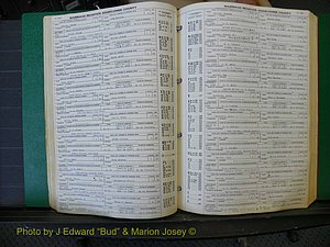 Edgecombe Marriages, A-E, 1867-1937 (175).JPG