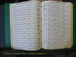 Edgecombe Marriages, A-E, 1867-1937 (198).JPG