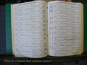Edgecombe Marriages, A-E, 1867-1937 (201).JPG
