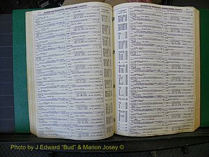 Edgecombe Marriages, A-E, 1867-1937 (207).JPG