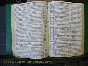 Edgecombe Marriages, A-E, 1867-1937 (208).JPG